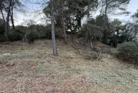 Foto 17