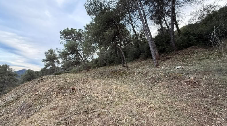 Barcelona - Vacarisses - 4174m2