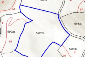 Ceclavín 20000&nbsp;м²