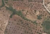 Stone house with land for sale on Finca con olivos, Ceclavín, ref: TR406363 photo