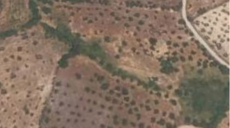 Cáceres - Ceclavín - 20000m2