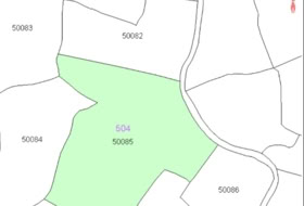 Ceclavín 20000&nbsp;м²