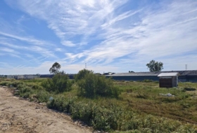 El Puerto de Santa María 1250&nbsp;m² 