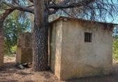 Casa amb terreny en venda a la España, Bellús, ref.: TR398334 foto