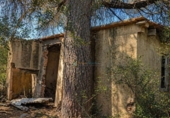 Casa amb terreny en venda a la España, Bellús, ref.: TR398334 foto