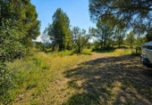 Casa amb terreny en venda a la España, Bellús, ref.: TR398334 foto