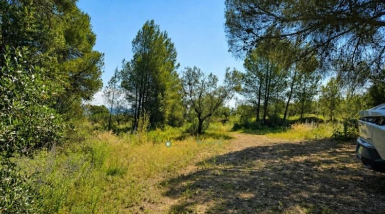 Valencia - Bellús - 6777m2