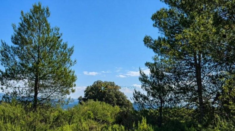 Valencia - Bellús - 6777m2