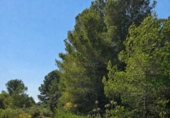 Casa amb terreny en venda a la España, Bellús, ref.: TR398334 foto