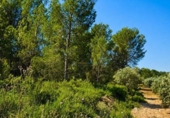 Casa amb terreny en venda a la España, Bellús, ref.: TR398334 foto