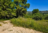 Casa amb terreny en venda a la España, Bellús, ref.: TR398334 foto