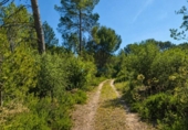 Casa amb terreny en venda a la España, Bellús, ref.: TR398334 foto