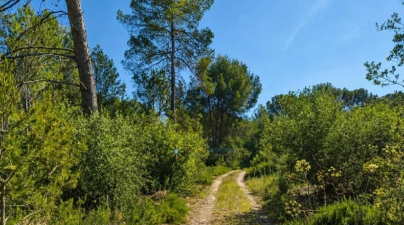 Valencia - Bellús - 6777m2