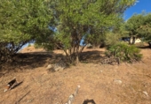 Non-developable land for sale on España, Almodóvar del Río, ref: TR370961 photo