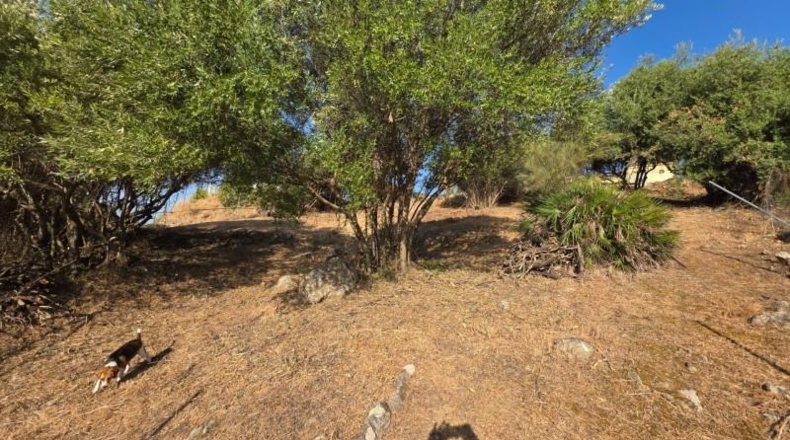 Córdoba - Almodóvar del Río - 1276m2