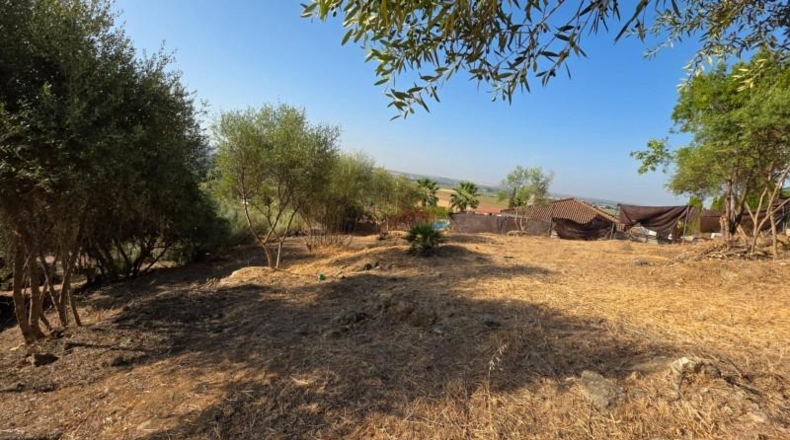 Córdoba - Almodóvar del Río - 1276m2