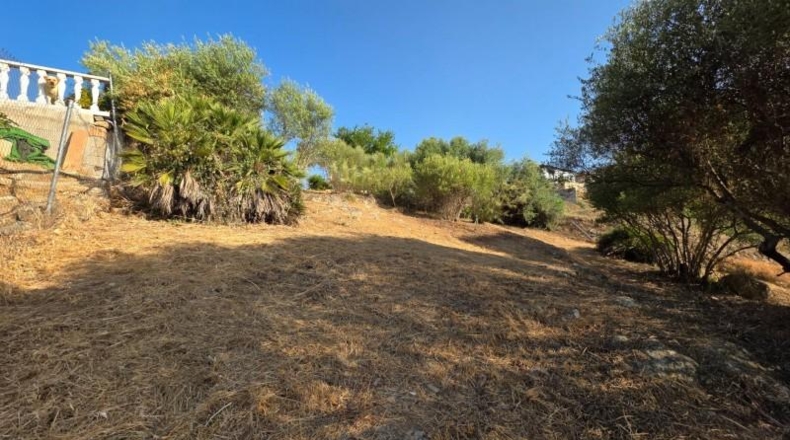 Córdoba - Almodóvar del Río - 1276m2