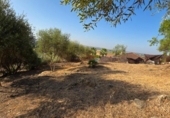 Non-developable land for sale on España, Almodóvar del Río, ref: TR383674 photo