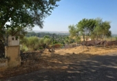 Non-developable land for sale on España, Almodóvar del Río, ref: TR383674 photo