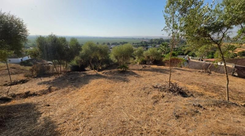 Córdoba - Almodóvar del Río - 1276m2