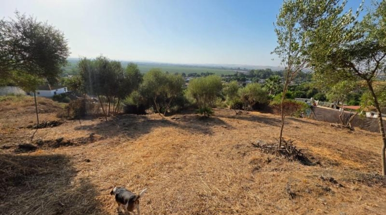 Córdoba - Almodóvar del Río - 1276m2