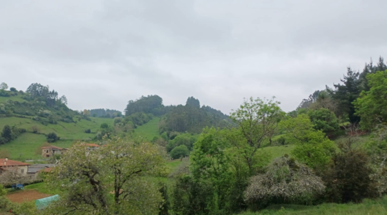 Asturias - Salas - 6331m2
