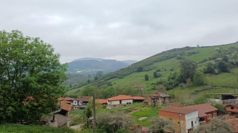 Asturias - Salas - 6331m2