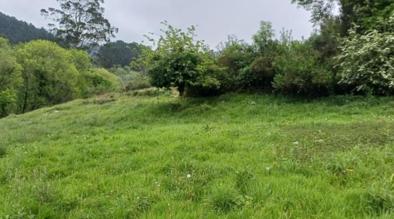 Asturias - Salas - 6331m2
