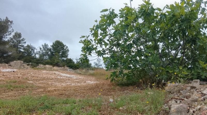 Tarragona - el Perelló - 198m2