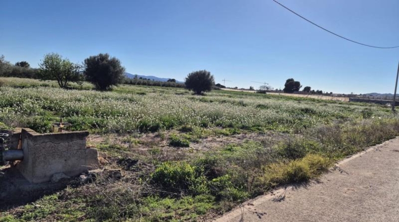 Murcia - Totana - 5835m2