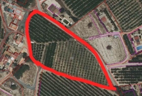 Cieza 10542&nbsp;m² 