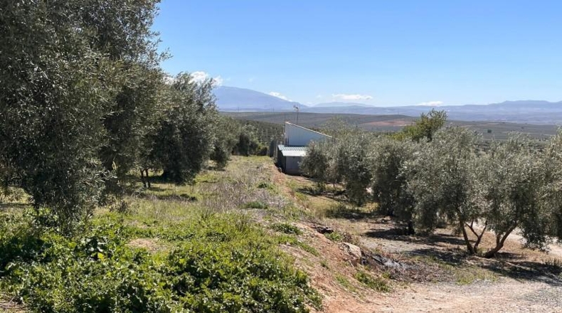 Granada - Íllora - 7770m2