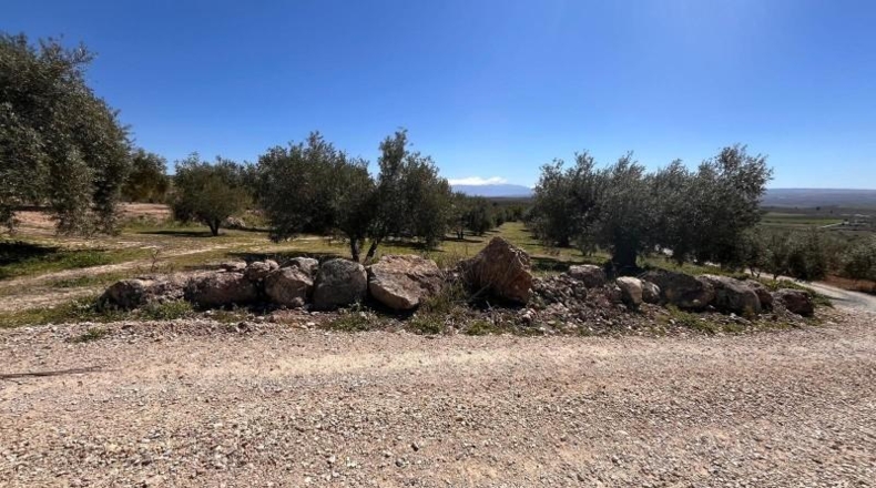 Granada - Íllora - 7770m2
