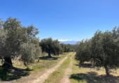 Земля на продажу у города Íllora Фото
