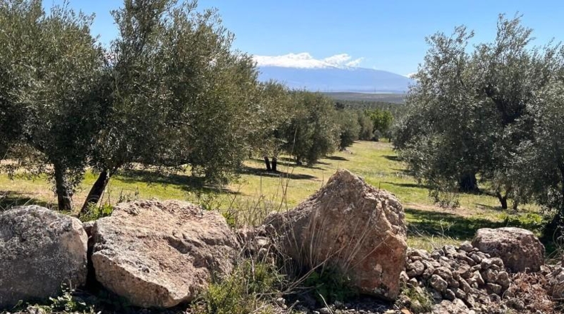 Granada - Íllora - 7770m2