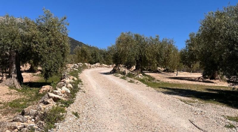 Granada - Íllora - 7770m2