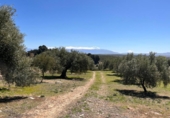 Земля на продажу у города Íllora Фото