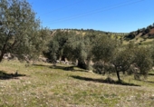 Земля на продажу у города Íllora Фото