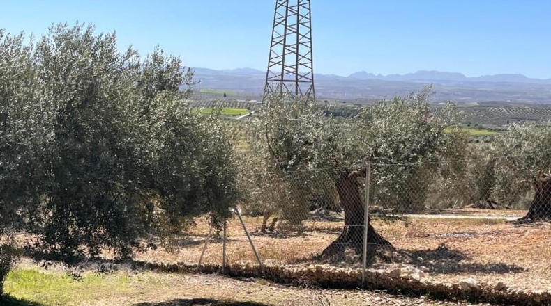 Granada - Íllora - 7770m2