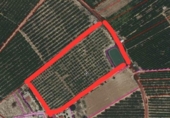 Земля на продажу у города Cieza Фото