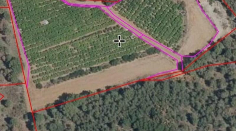 Valencia - Sagunto - 17000m2