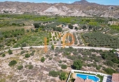 Parcel·la urbanitzable en venda a la España, Arboleas, ref.: TR406593 foto