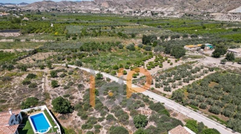 Almería - Arboleas - 5219m2