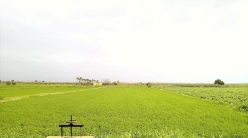 Alicante - Dolores - 4259m2