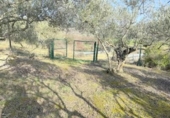Casa con terreno en venta en la España, Cirauqui, ref: TR406415 foto