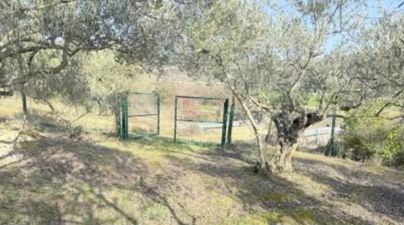 Navarre - Cirauqui - 14000m2