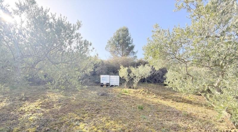Navarre - Cirauqui - 14000m2