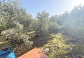 Casa con terreno en venta en la España, Cirauqui, ref: TR406415 foto