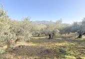 Casa con terreno en venta en la España, Cirauqui, ref: TR406415 foto