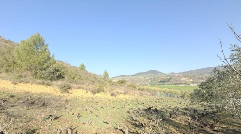Navarre - Cirauqui - 14000m2